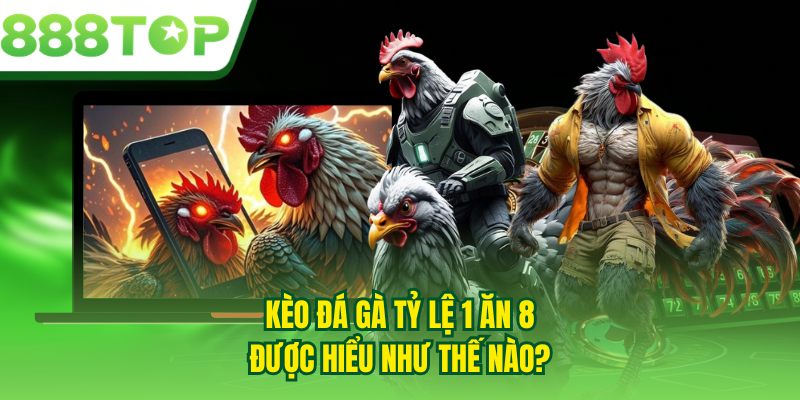 Kèo đá gà tỷ lệ 1 ăn 8 được hiểu như thế nào?