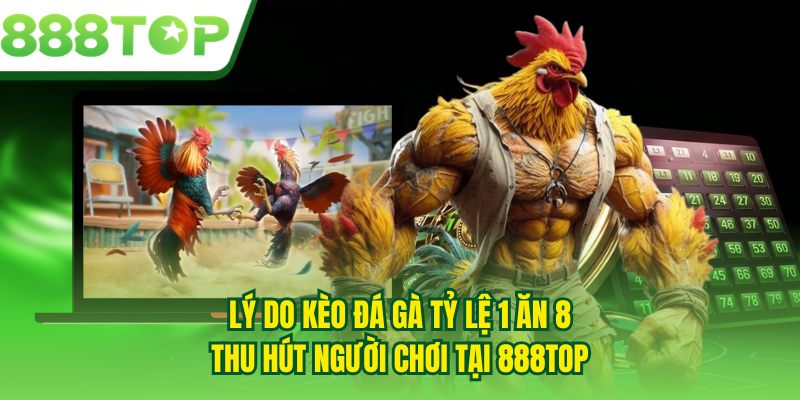 Lý do kèo đá gà tỷ lệ 1 ăn 8 thu hút người chơi tại 888TOP