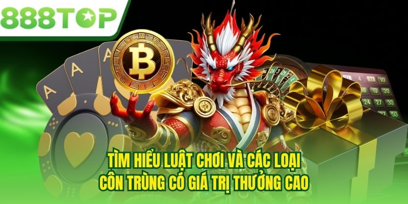 Tìm hiểu luật chơi và các loại côn trùng có giá trị thưởng cao